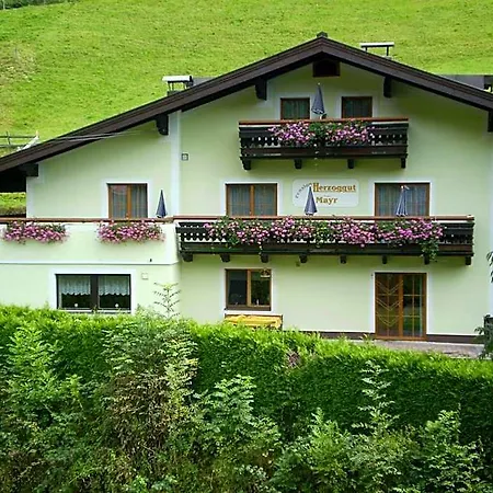 Herzoggut
