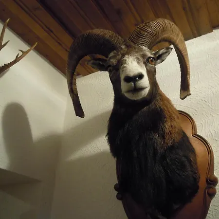 Herzoggut ベッド・アンド・ブレックファスト ツェル アム ゼー