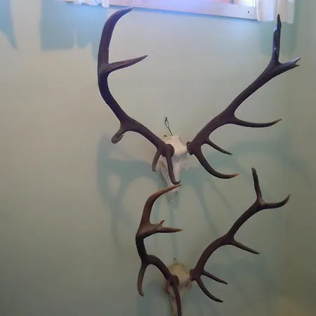 住宿加早餐酒店 赫尔左格特住宿加早餐旅馆 3*