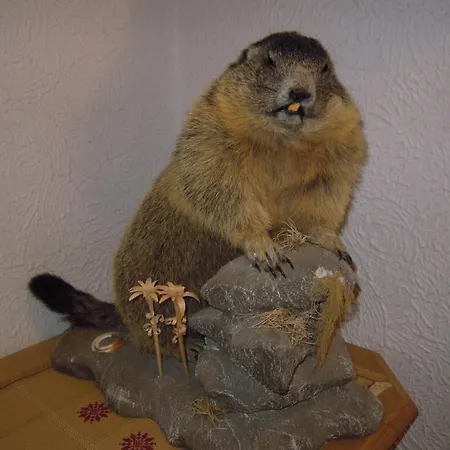 赫尔左格特住宿加早餐旅馆