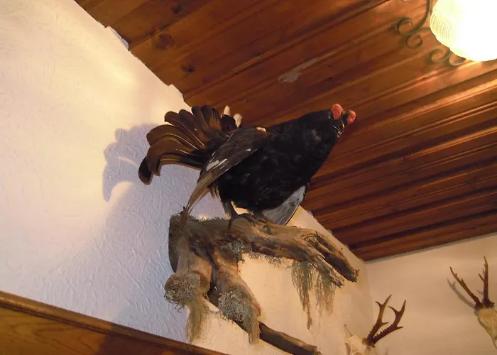 Bed & Breakfast Herzoggut Zell am See