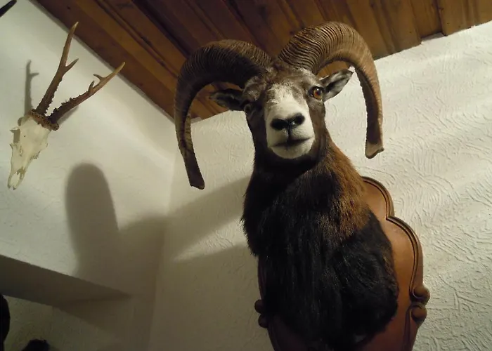 Herzoggut Oda ve Kahvaltı Zell am See