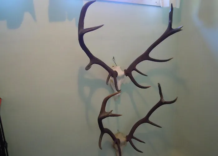 Oda ve Kahvaltı Herzoggut 3*